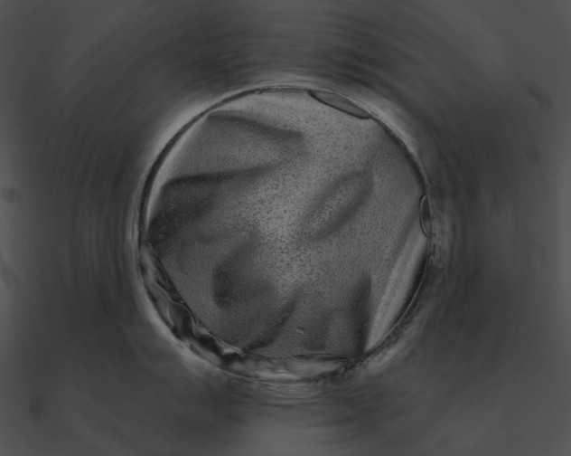 X0000090501007200708031205