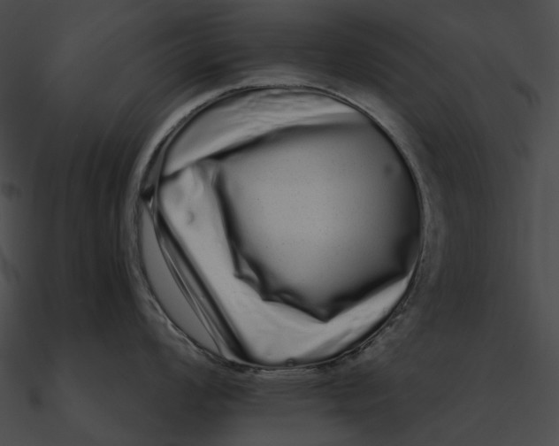 X0000090501008200708031205