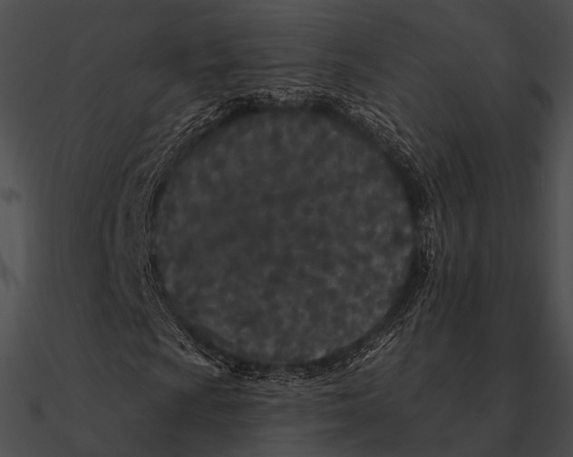 X0000090501009200708031204