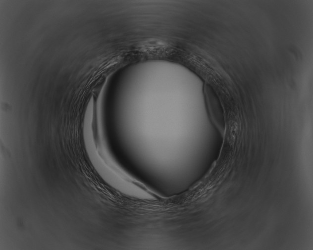 X0000090501010200708031204