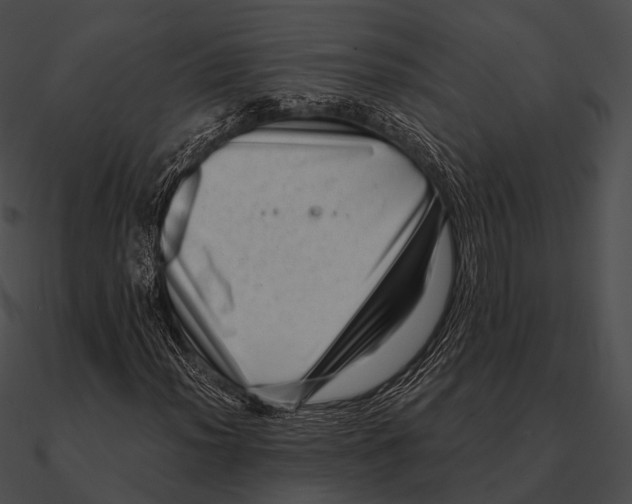 X0000090501012200708031204