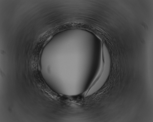 X0000090501014200708031204