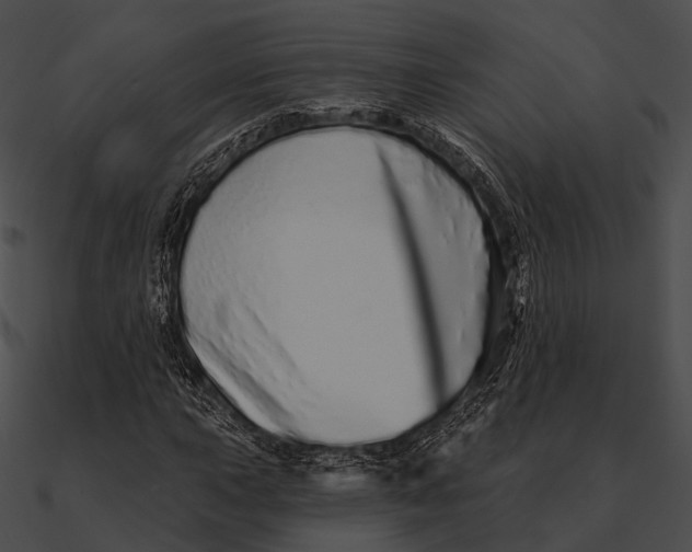 X0000090501015200708031204