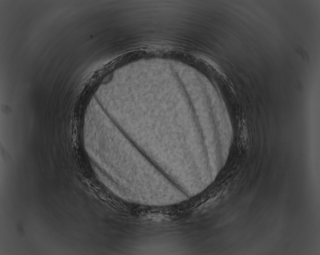 X0000090501016200708031204