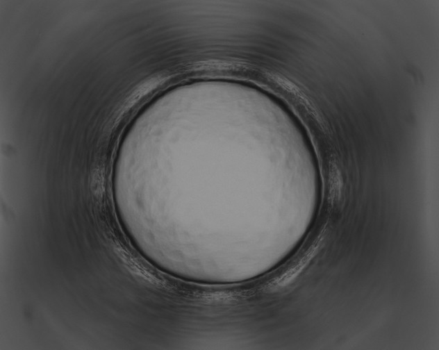 X0000090501017200708031204