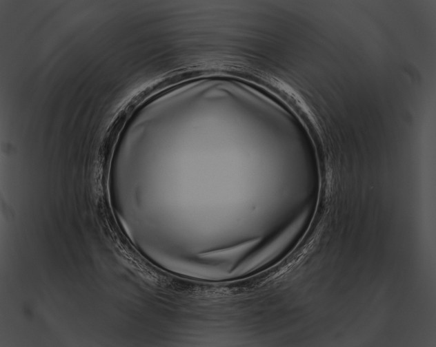 X0000090501019200708031204