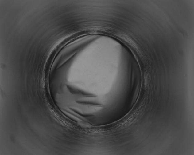 X0000090501020200708031204