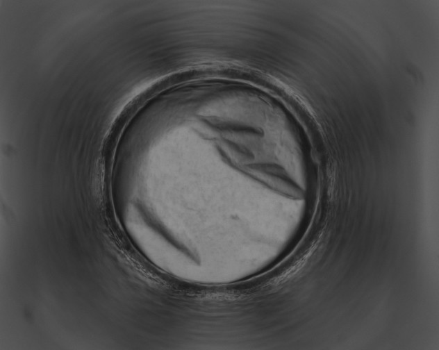 X0000090501021200708031204