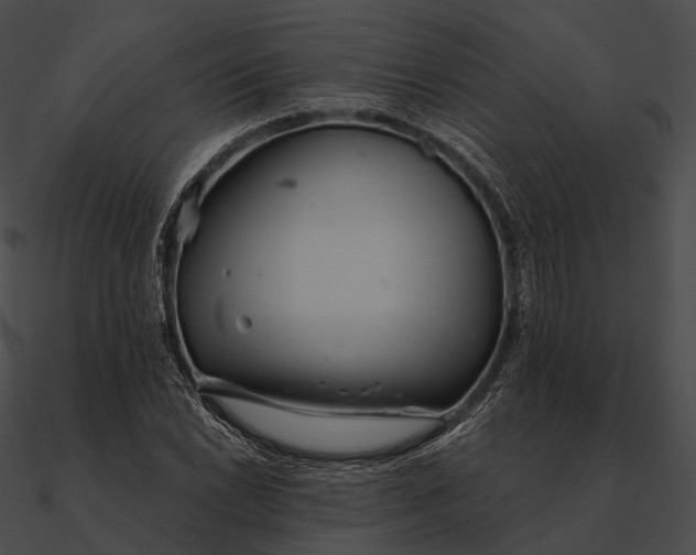 X0000090501022200708031204