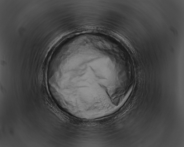 X0000090501023200708031204