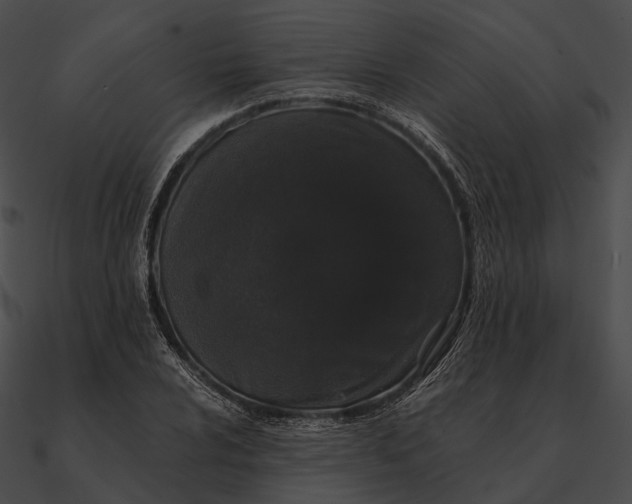 X0000090501024200708031204