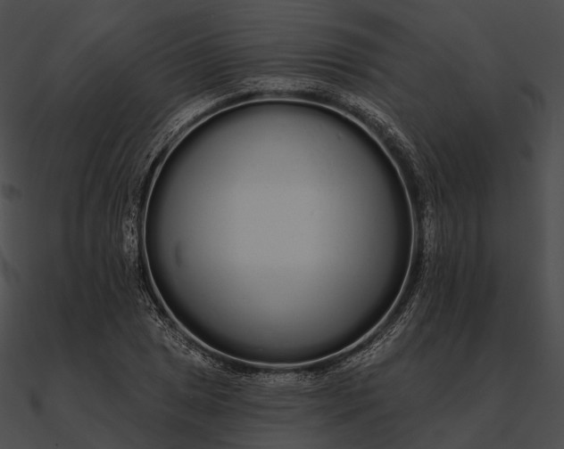 X0000090501025200708031204