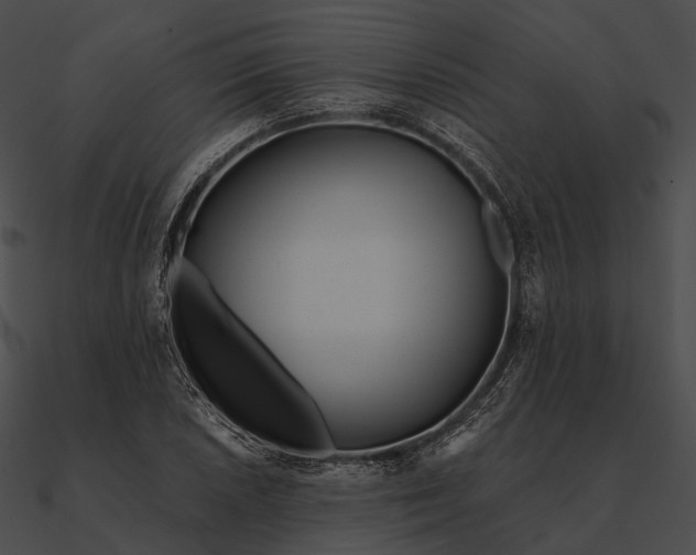 X0000090501026200708031204