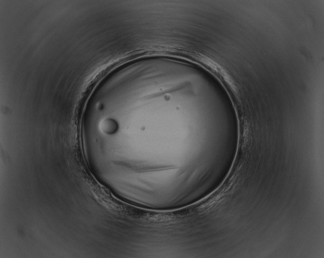 X0000090501027200708031204