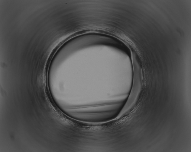 X0000090501028200708031205