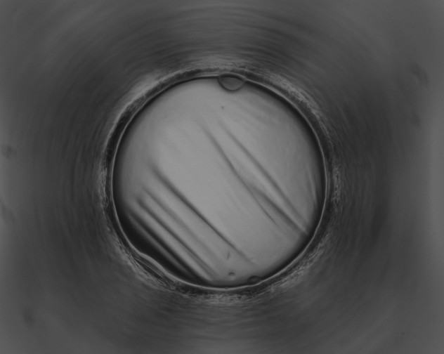 X0000090501029200708031205