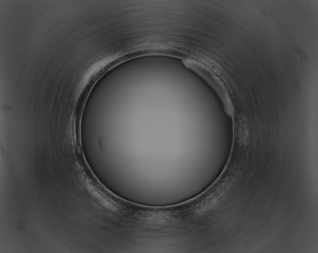 X0000090501030200708031205