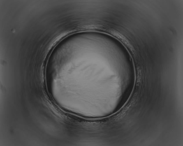 X0000090501031200708031205