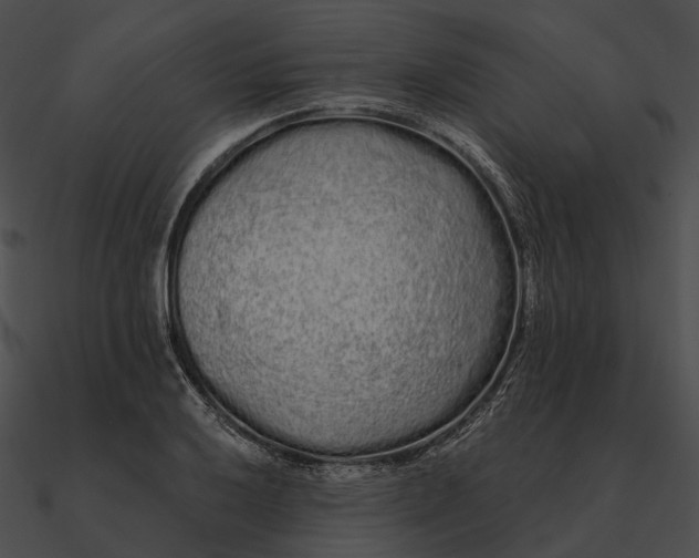 X0000090501032200708031205