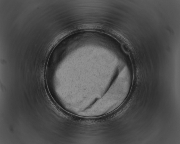 X0000090501033200708031205