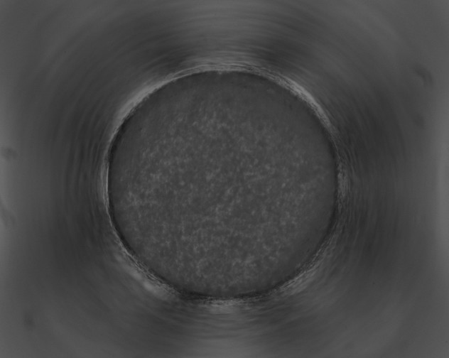 X0000090501035200708031205