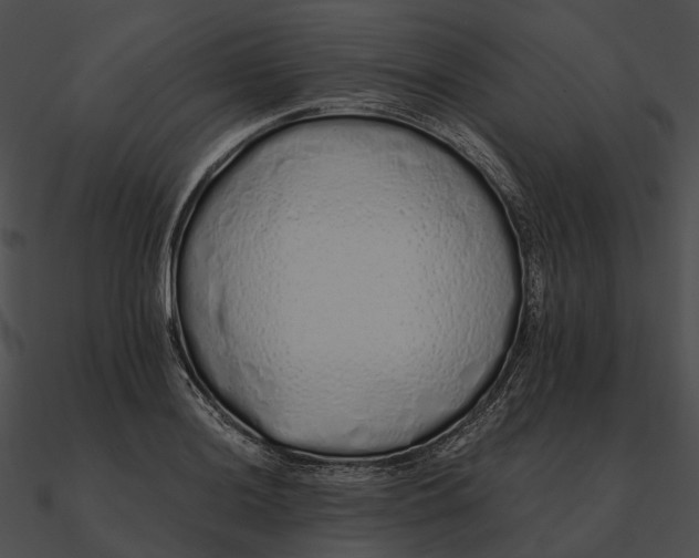 X0000090501036200708031205