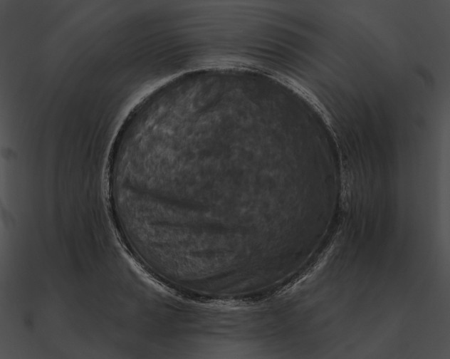 X0000090501037200708031205