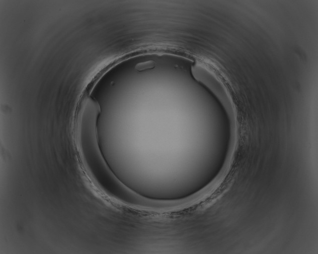 X0000090501038200708031205