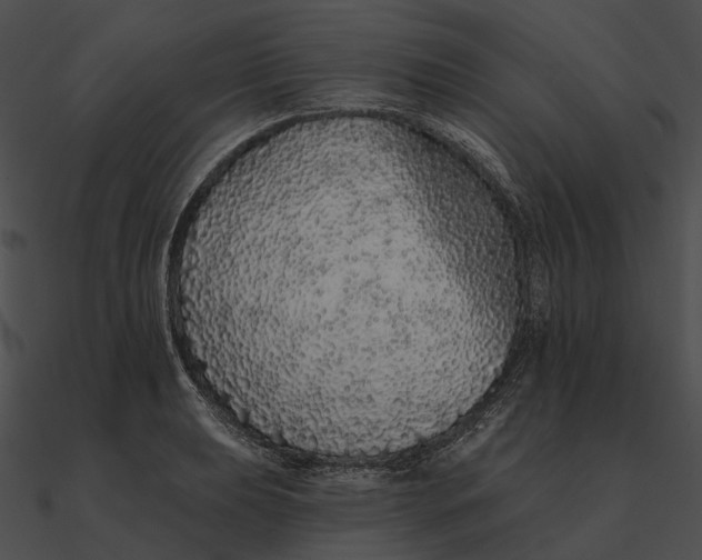 X0000090501039200708031205