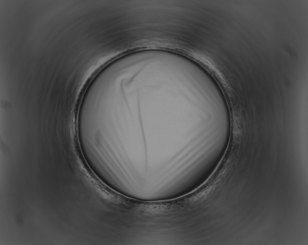 X0000090501040200708031205