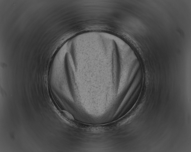 X0000090501041200708031205