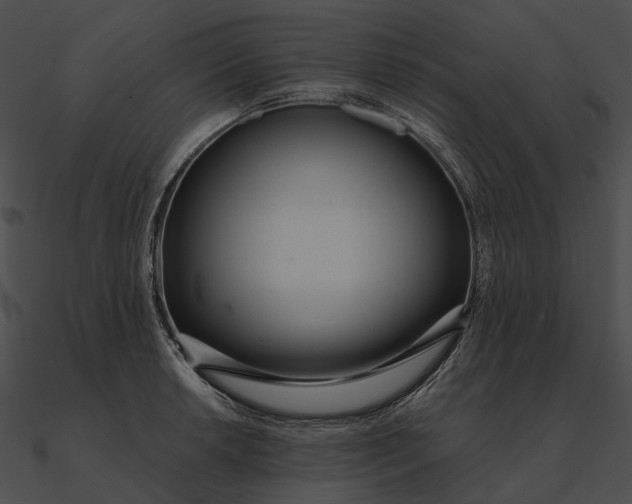 X0000090501042200708031205