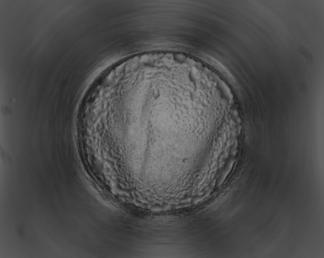 X0000090501043200708031205