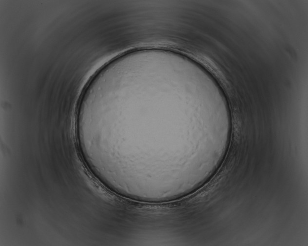 X0000090501044200708031205