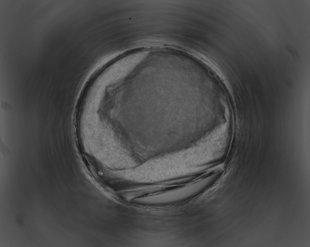 X0000090501045200708031205