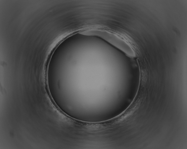 X0000090501046200708031205