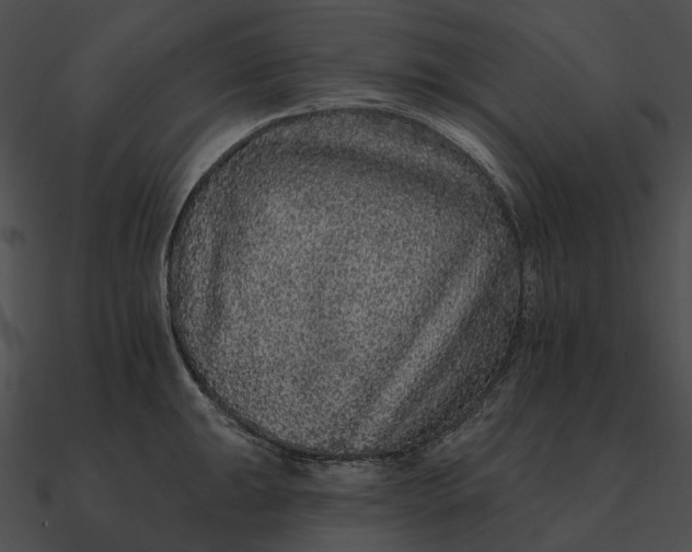 X0000090501047200708031205