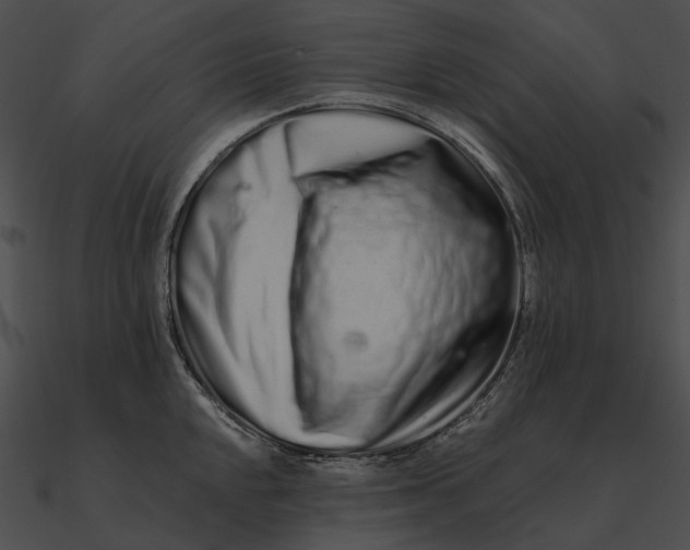 X0000090501048200708031205