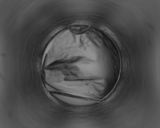 X0000090501049200708031205