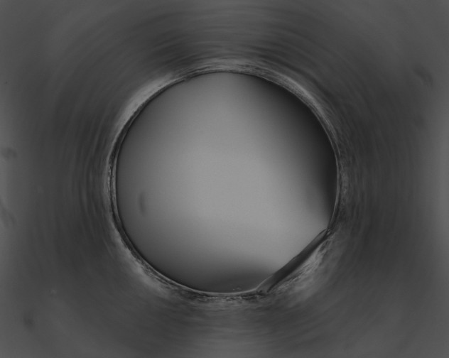 X0000090501050200708031205