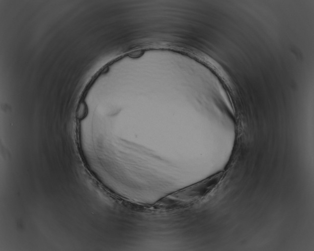 X0000090501051200708031205