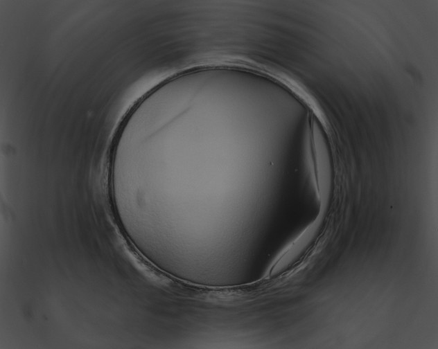 X0000090501053200708031205