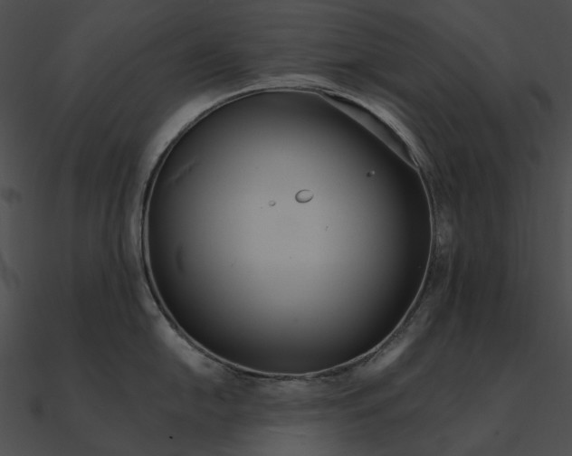 X0000090501054200708031205