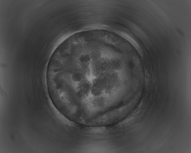 X0000090501055200708031205