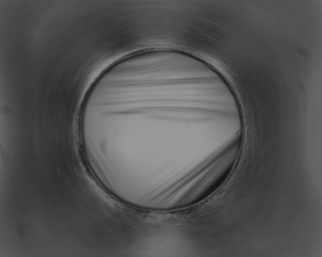 X0000090501056200708031205