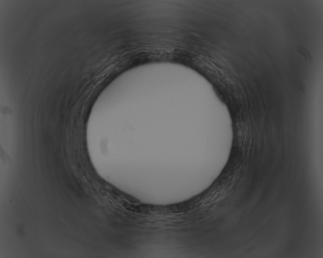 X0000090501057200708031204