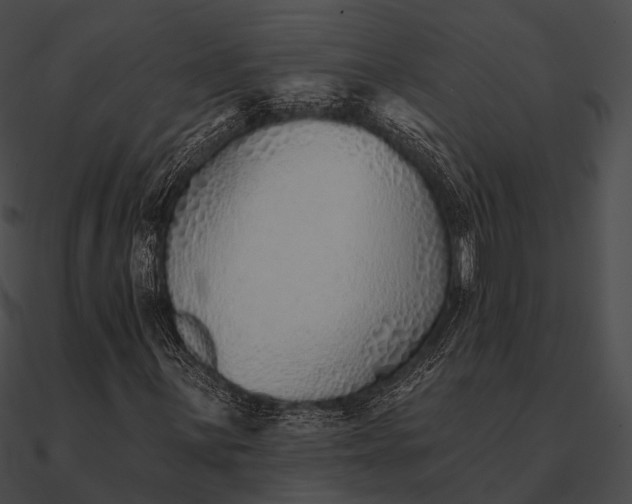 X0000090501059200708031204