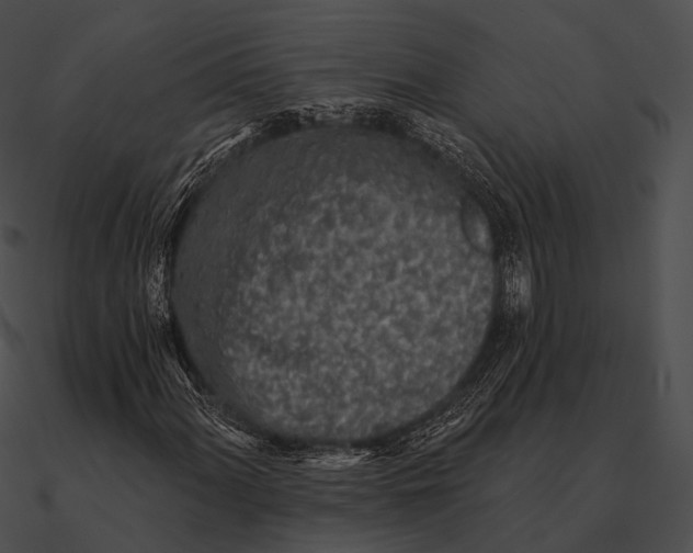 X0000090501060200708031204