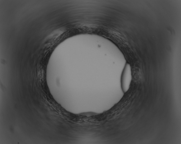 X0000090501061200708031204