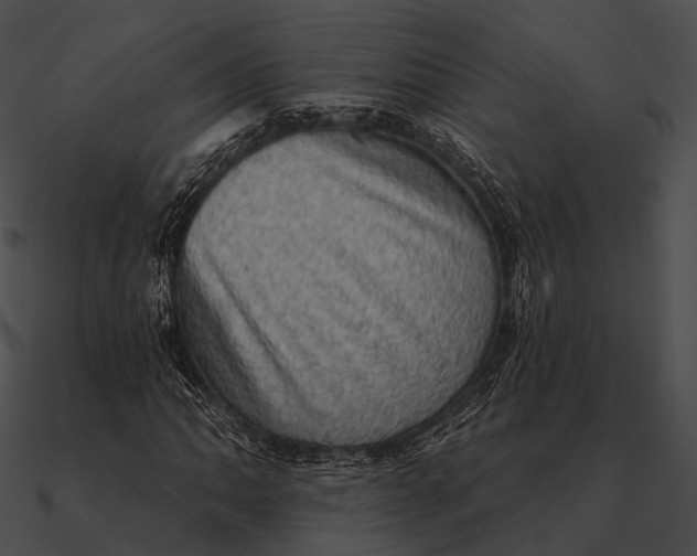 X0000090501062200708031204